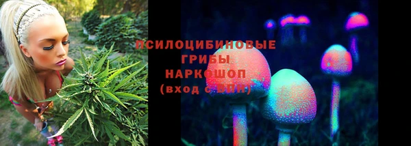прущие грибы Арсеньев