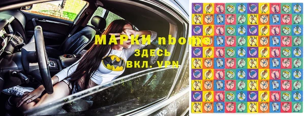 прущие грибы Арсеньев