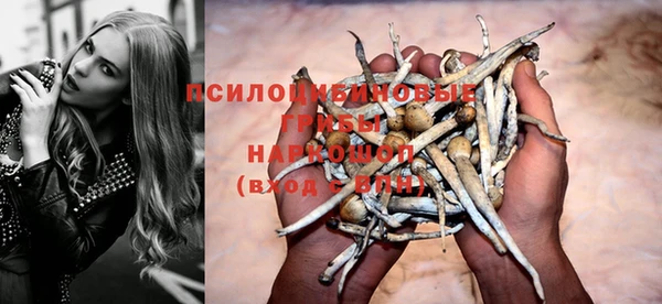 каннабис Аркадак
